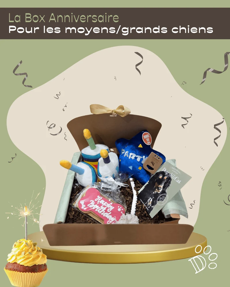 Box anniversaire grand chien – fête gourmande & jeux