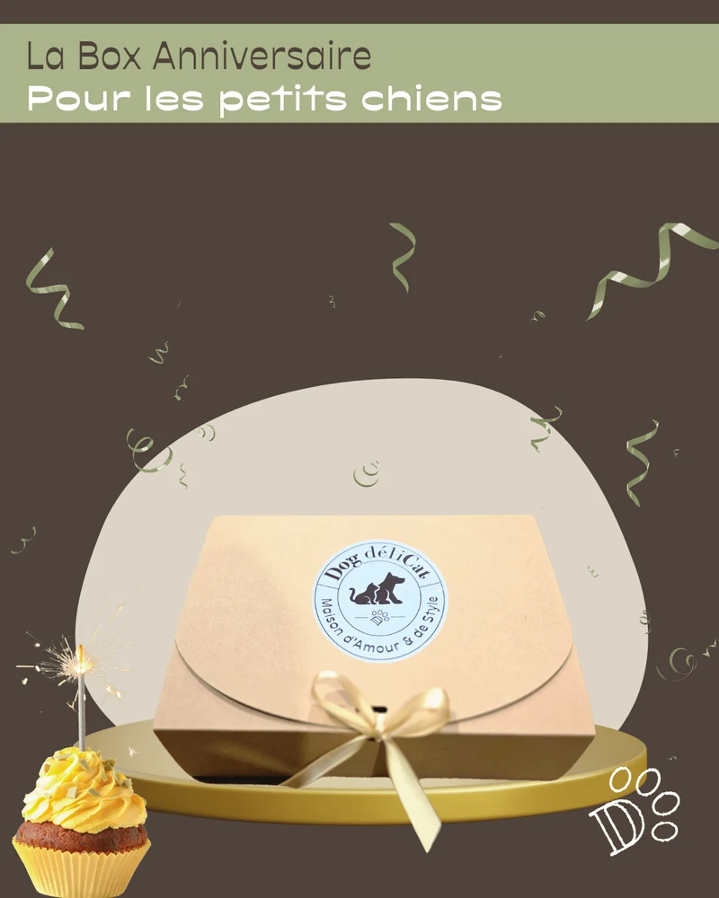 Box anniversaire petit chien – mini fête gourmande