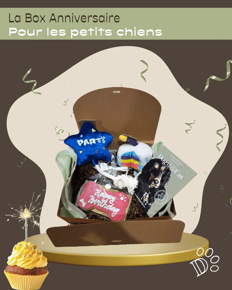 Box anniversaire petit chien – mini fête gourmande