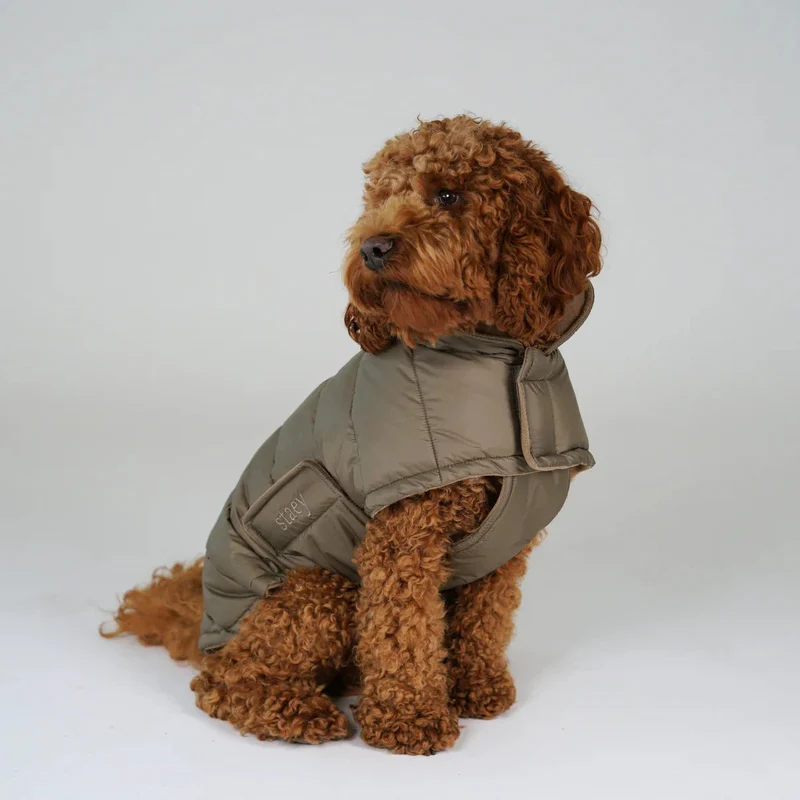 Manteau pour Chien Nora Taupe – Chaud & Imperméable (aussi en grandes tailles)
