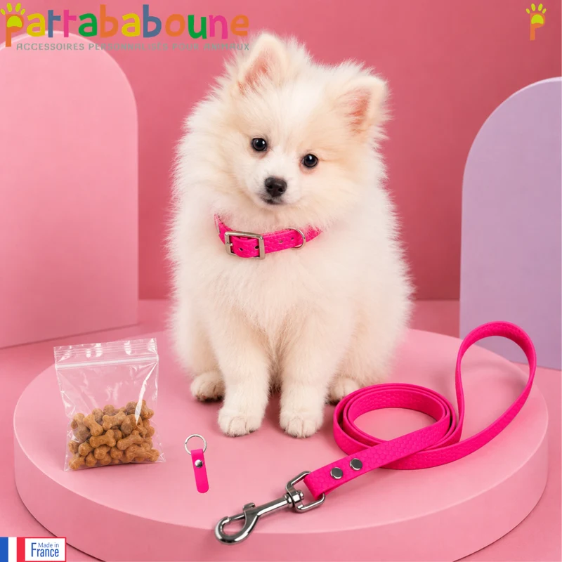 Kit chiot personnalisé Hexa - Collier, laisse, médaille & friandises - 9 & 16 mm