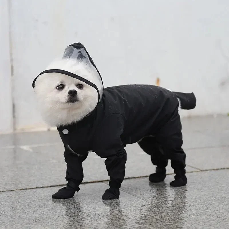 Combinaison imperméable chien