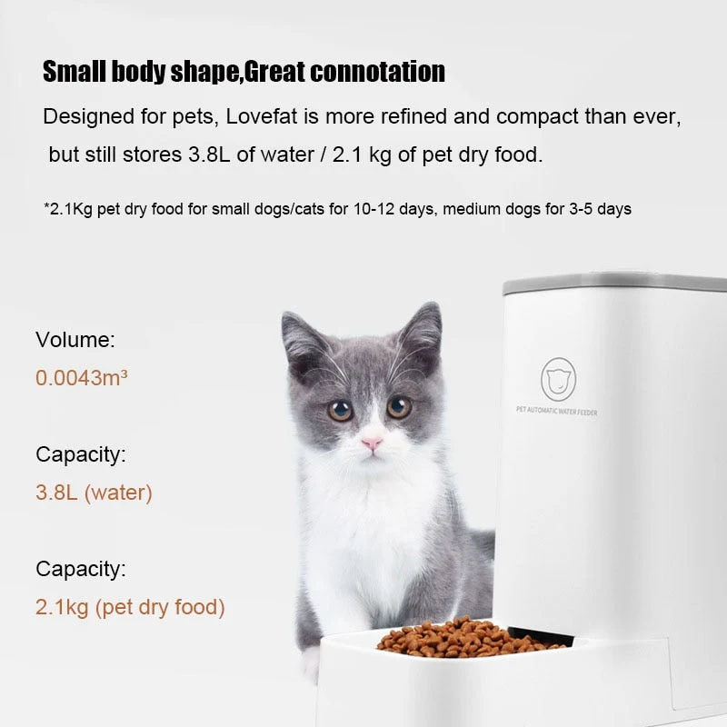 Fontaine et distributeur de croquettes