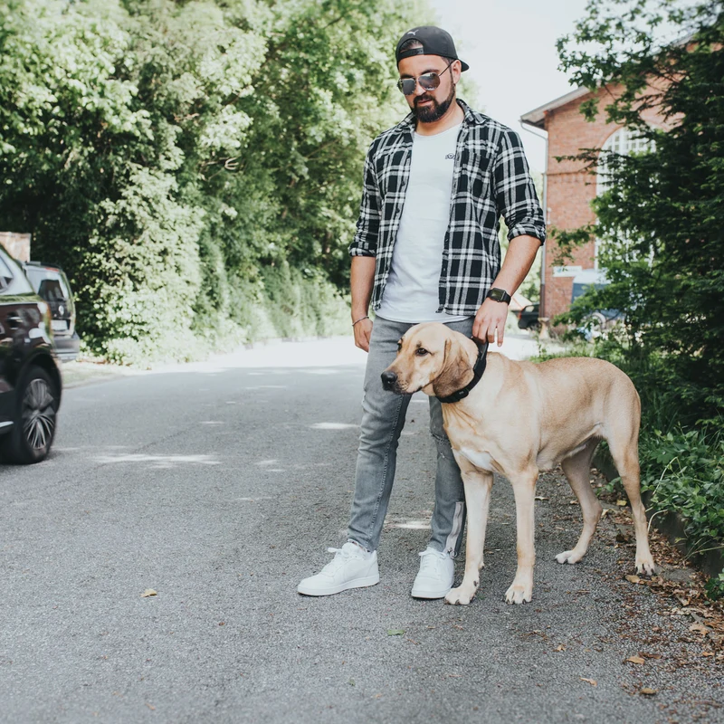 Trainingshalsband mit Griff Larvik