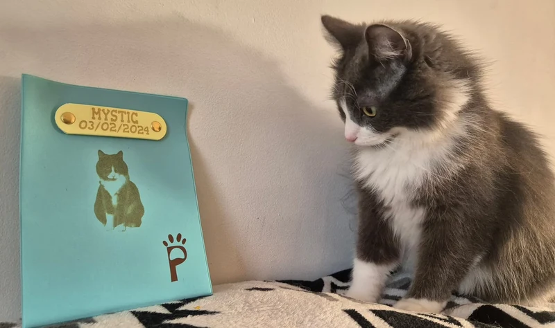Protège carnet de santé personnalisé pour chien et chat - Gravure laser