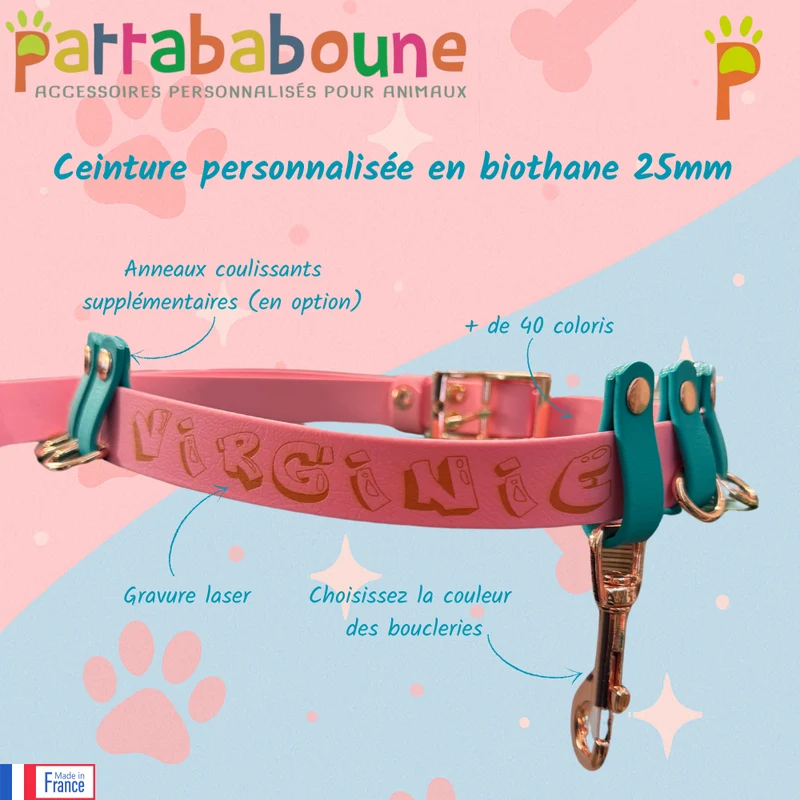 Ceinture personnalisée Biothane 25 mm - Fabrication française