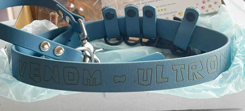 Ceinture personnalisée Biothane 25 mm - Fabrication française