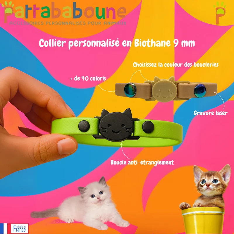 Collier Chat Anti-Étranglement Personnalisé Biothane 9mm - Fait Main France