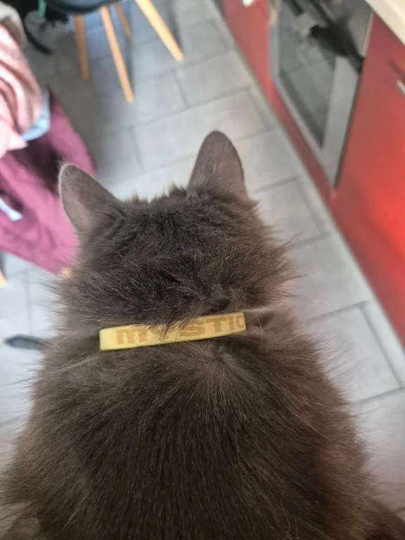 Collier Chat Anti-Étranglement Personnalisé Biothane 9mm - Fait Main France