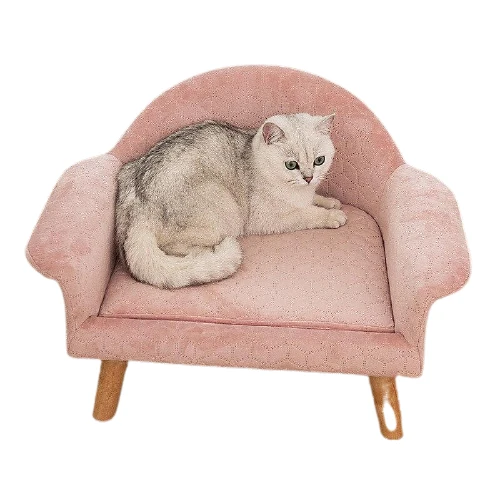 Canapé pour chat
