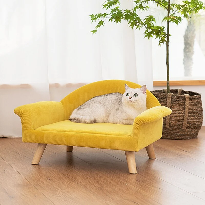 Canapé pour chat