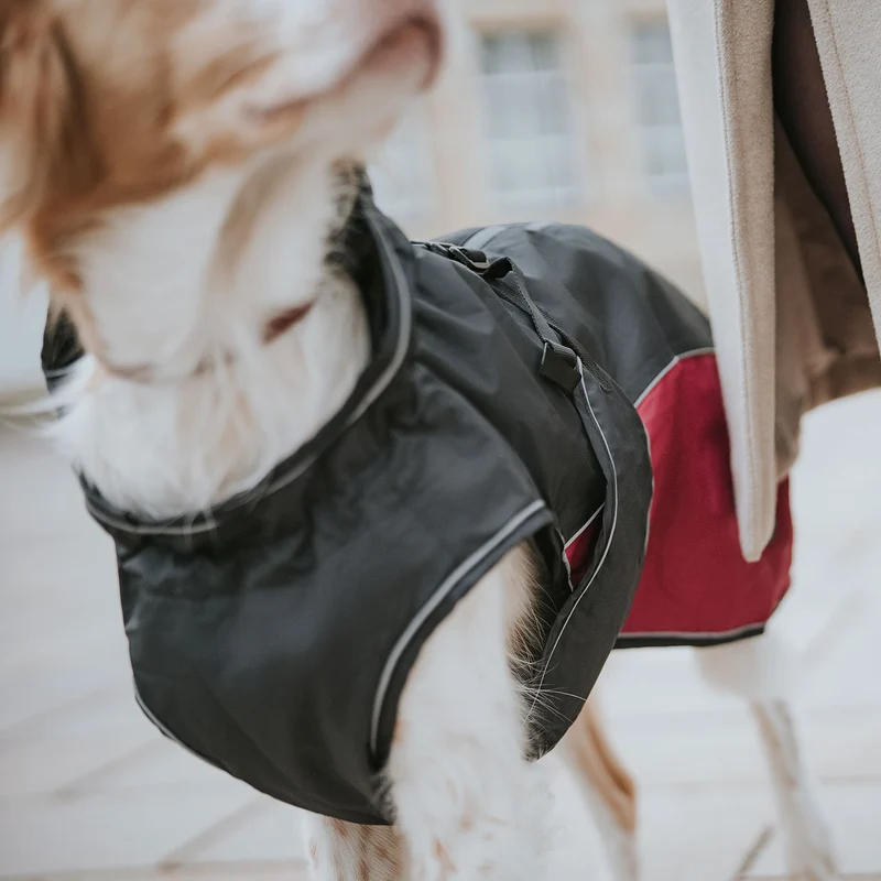 Hundemantel Uppsala Cozy