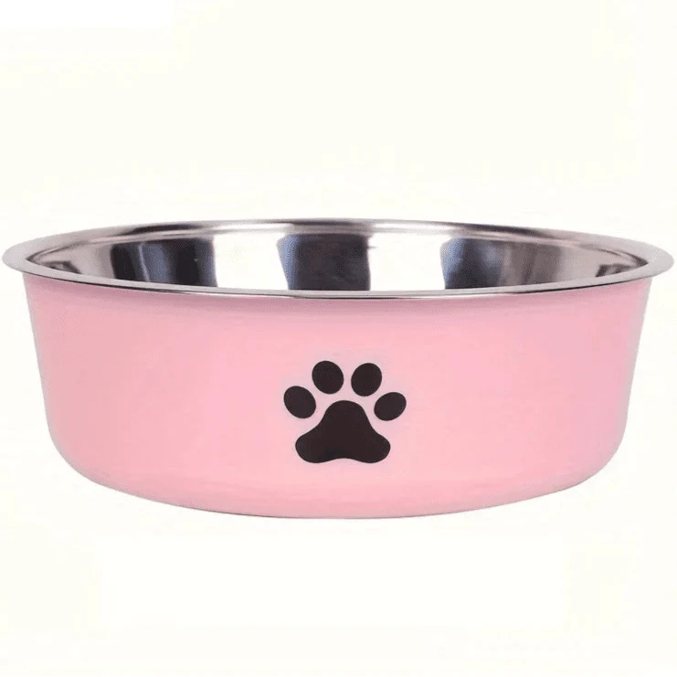 Gamelle chien en inox anti-dérapante