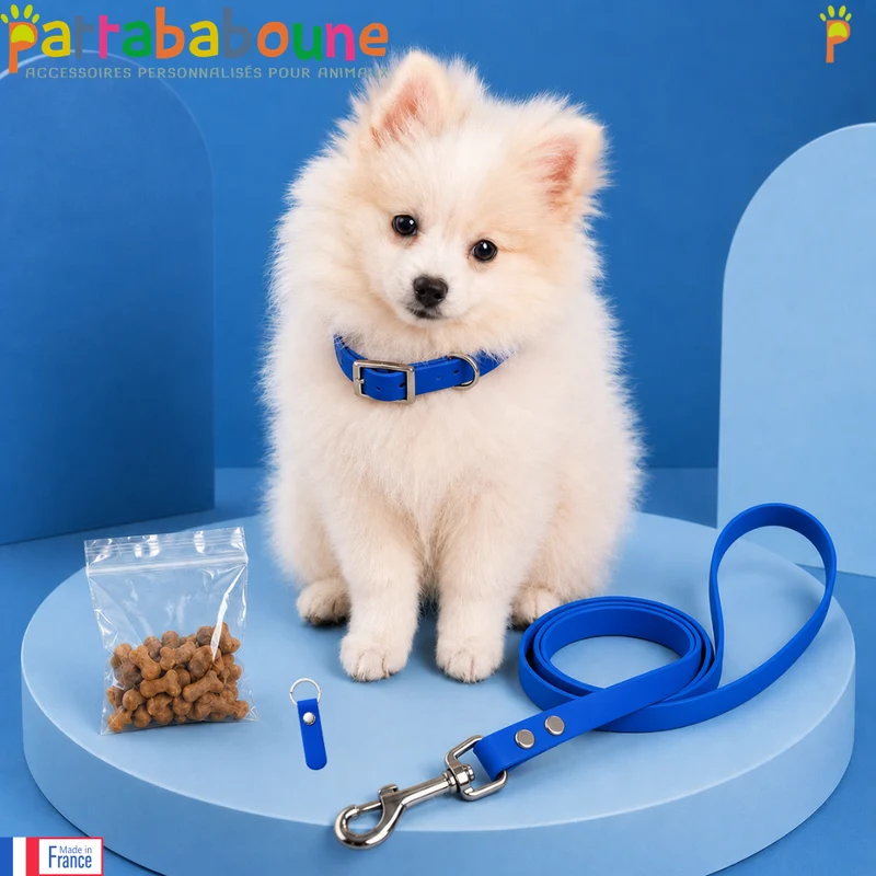 Kit chiot personnalisé TPU - Collier, laisse, médaille & friandises - 9 & 16 mm