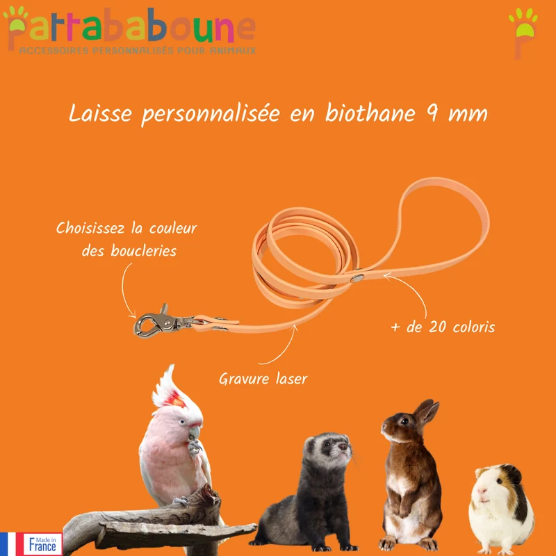 Laisse personnalisée en biothane 9 mm