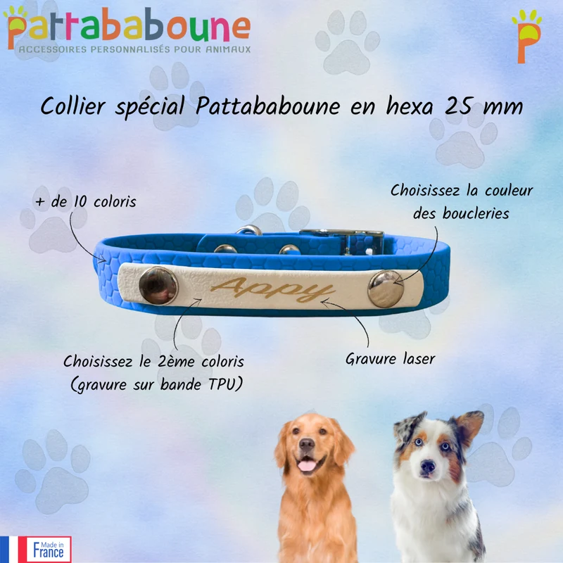 Collier personnalisé pour chien Hexa 25 mm - Spéciale Pattababoune