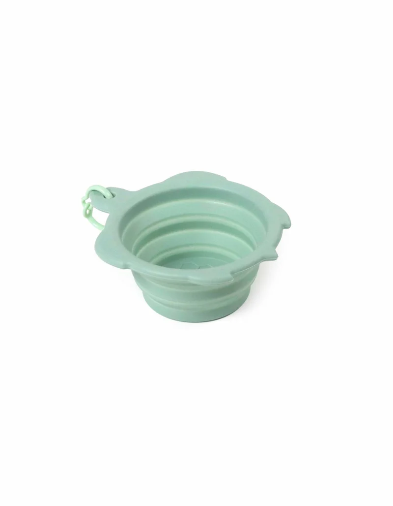 Bol de voyage tortue – silicone pliable 200 ml 🐾