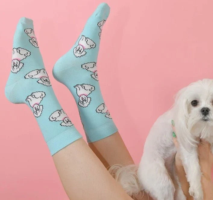 Chaussettes Bichon – L’accessoire doux & plein d’humour