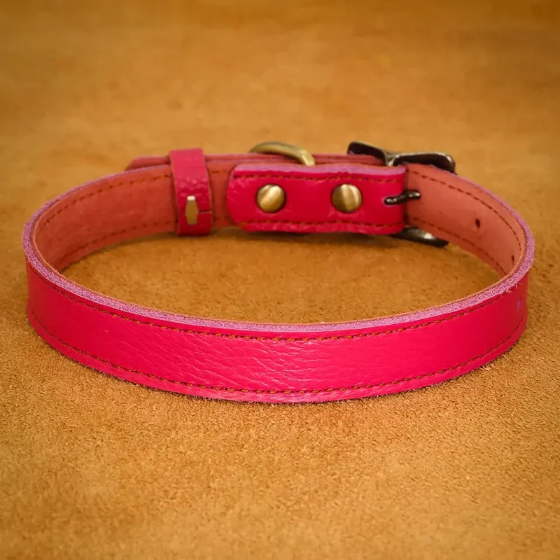 Collier ajustable en cuir pour chien