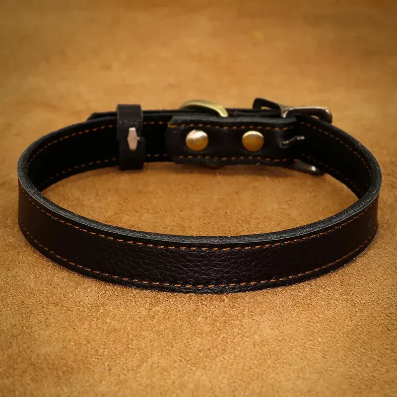 Collier ajustable en cuir pour chien