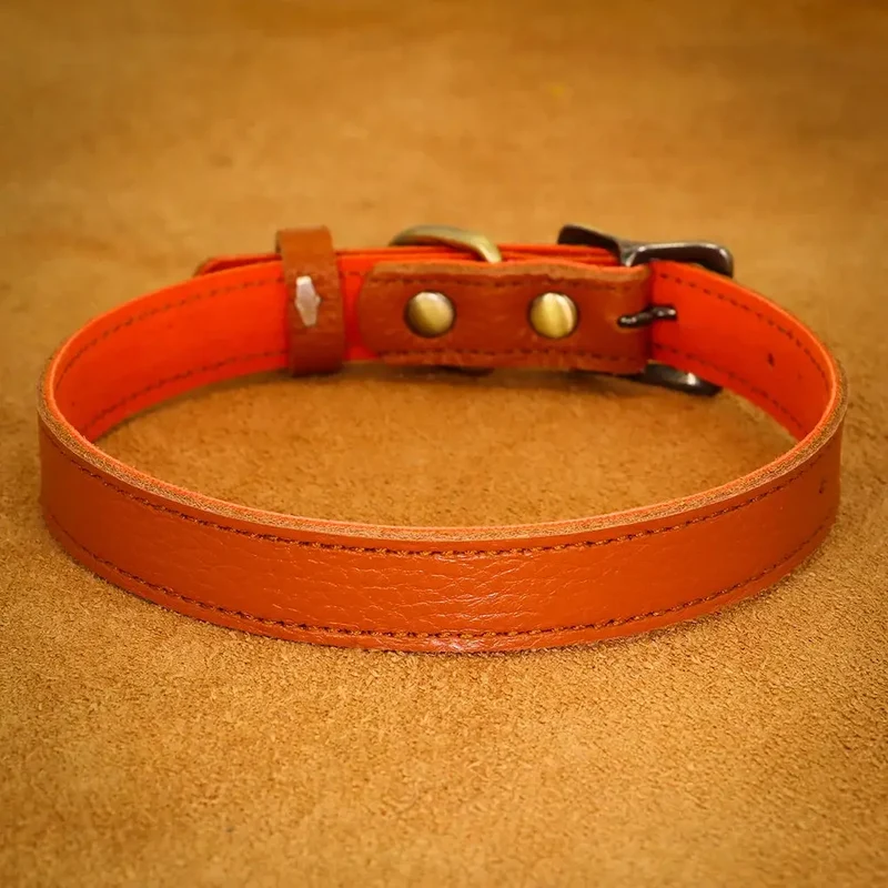 Collier ajustable en cuir pour chien