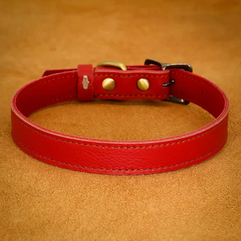 Collier ajustable en cuir pour chien