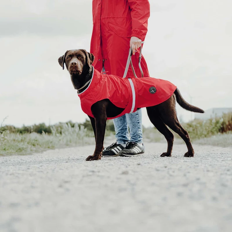 Hunde-Regenmantel Uppsala Rain