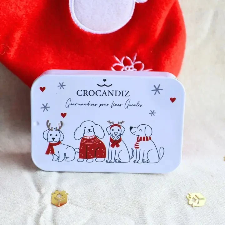 Boîte de Noël pour chien – Biscuits naturels assortis 50 g
