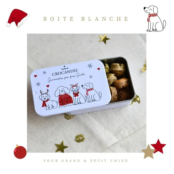 Boîte de Noël pour chien – Biscuits naturels assortis 50 g