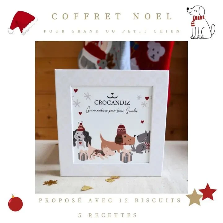 Coffret de Noël pour chien – Financiers artisanaux bio assortis