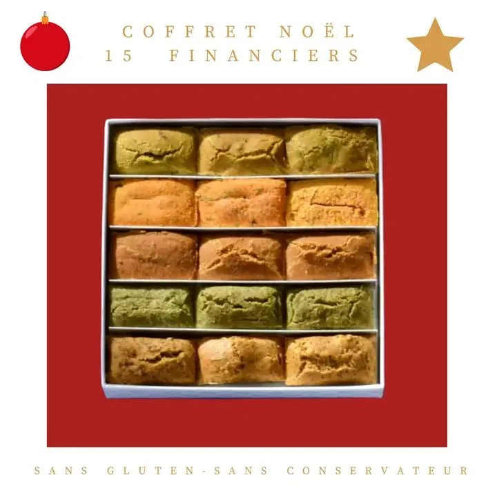 Coffret de Noël pour chien – Financiers artisanaux bio assortis