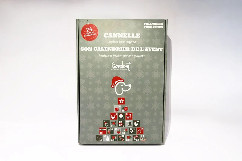 Calendrier de l’Avent chien 2025 – gourmandises Evident