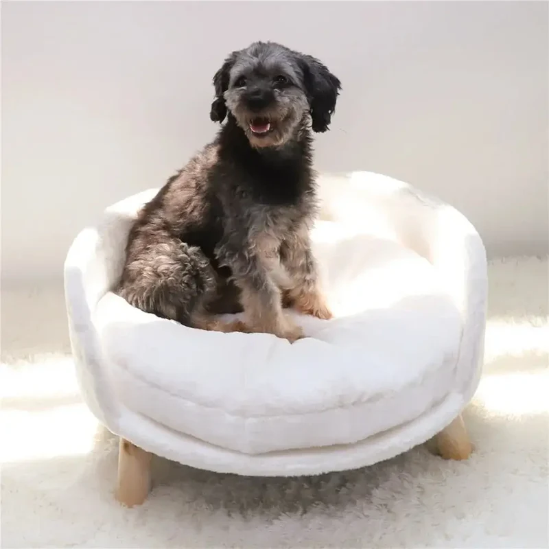 Canapé surélevé pour petit chien