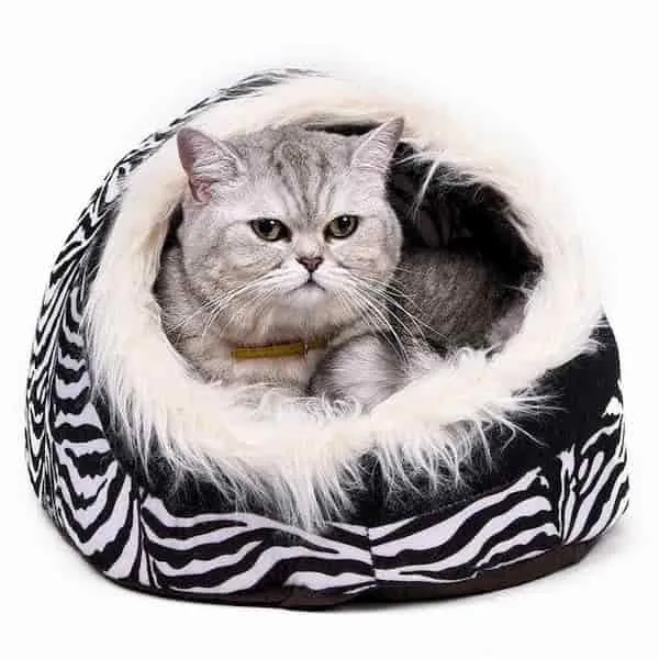 Couchage Cozy pour chat