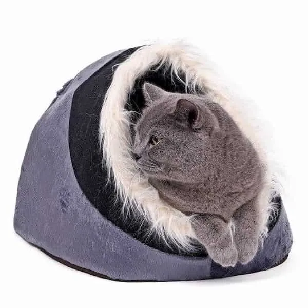 Couchage Cozy pour chat