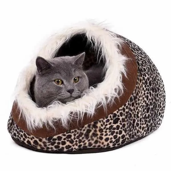 Couchage Cozy pour chat