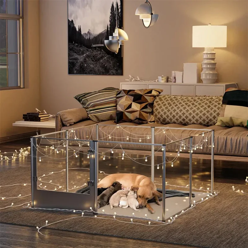 Cage transparente pour chien