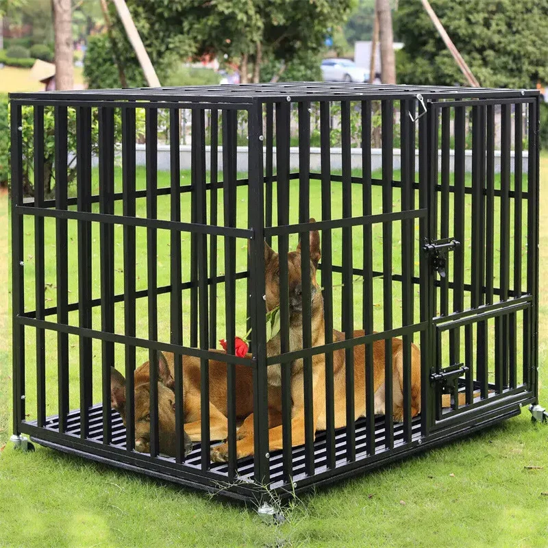 Cage extérieur et intérieur pour chien