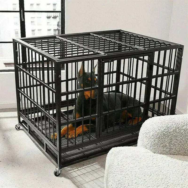 Cage extérieur et intérieur pour chien