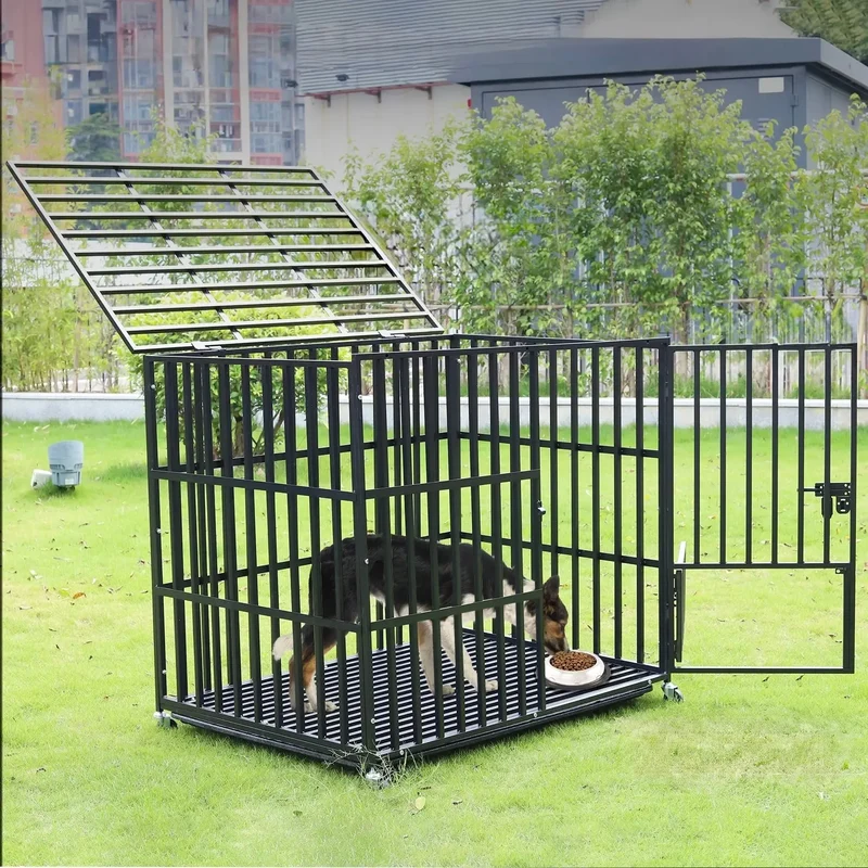 Cage extérieur et intérieur pour chien