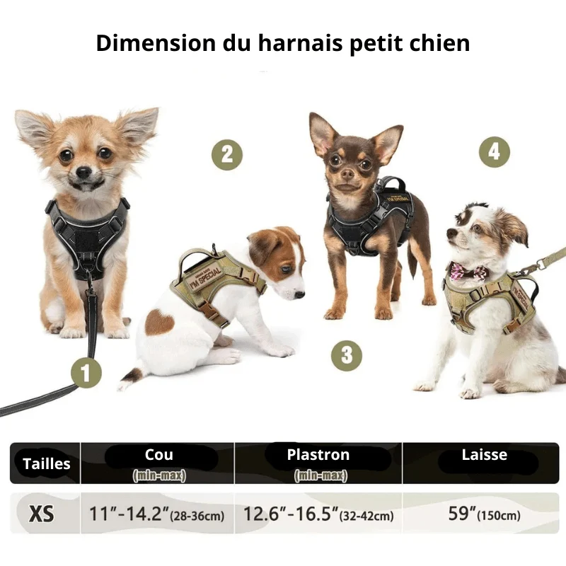 Petit harnais pour petit chien