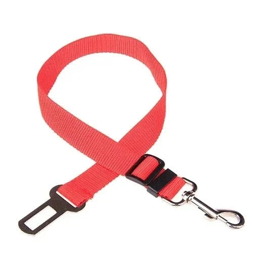 Ceinture de sécurité pour chien
