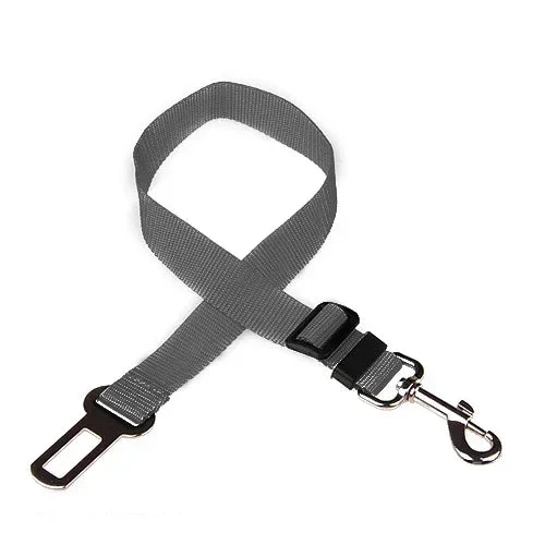 Ceinture de sécurité pour chien
