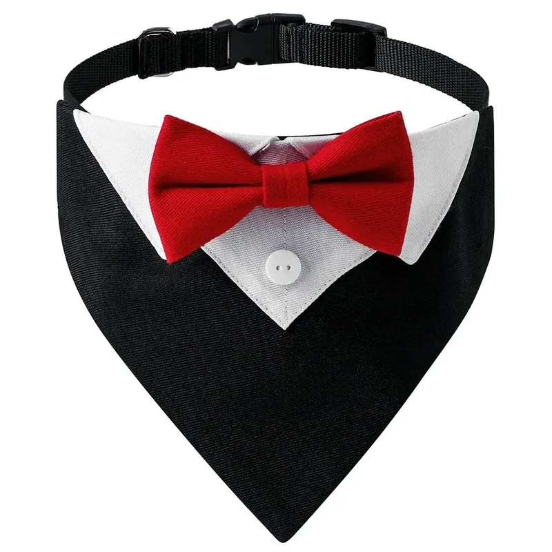 Bandana élégant pour chien