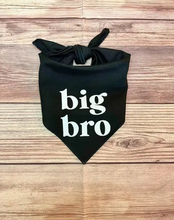 Bandana "Big Bro" pour chien