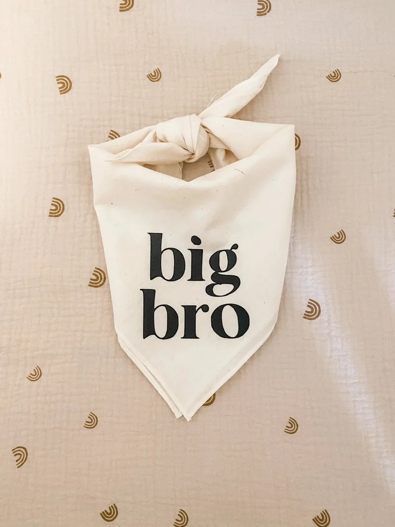 Bandana "Big Bro" pour chien