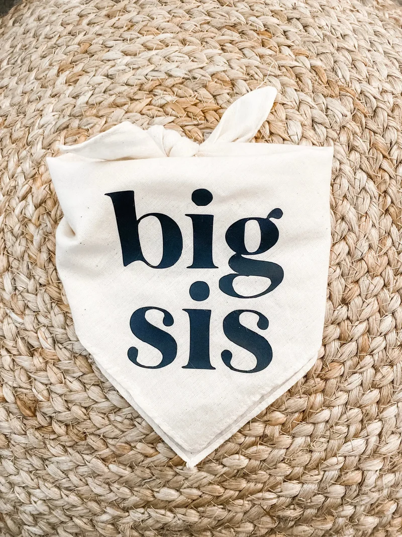 Bandana "Big Bro" pour chien