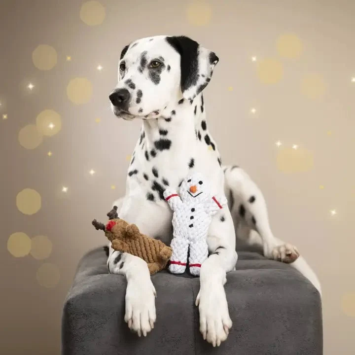 Jouet en corde pour chien de Noël - Rudi le Renne
