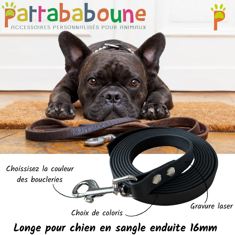 Longe personnalisée pour chien en TPU 16 mm - Gravure laser
