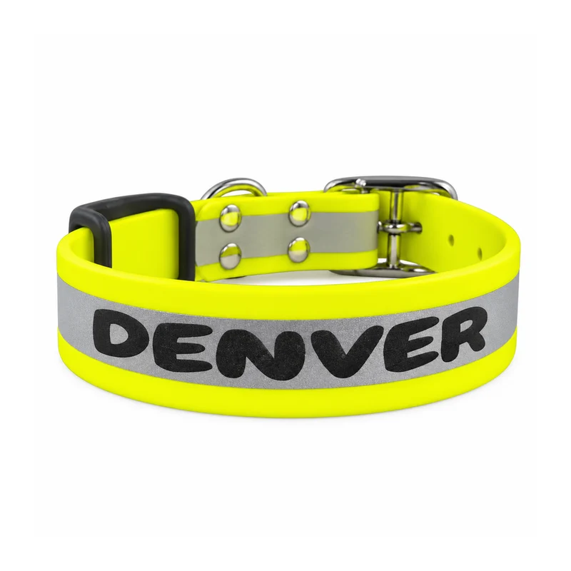 Collier réfléchissant personnalisé pour chien en biothane 25 mm - Gravure laser